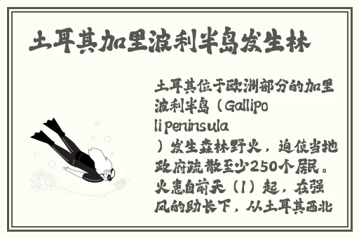小扫货水怎么这么多视频
